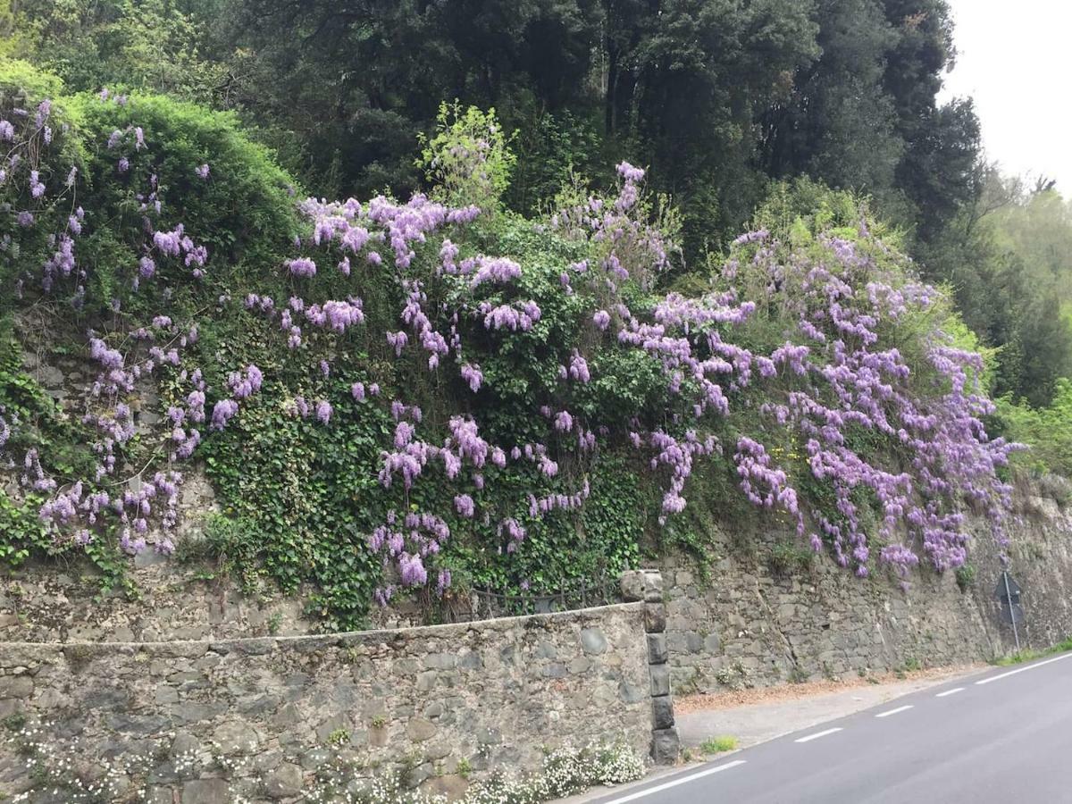 Apartmán La Piccola Oasi Toscana Bagni di Lucca Exteriér fotografie